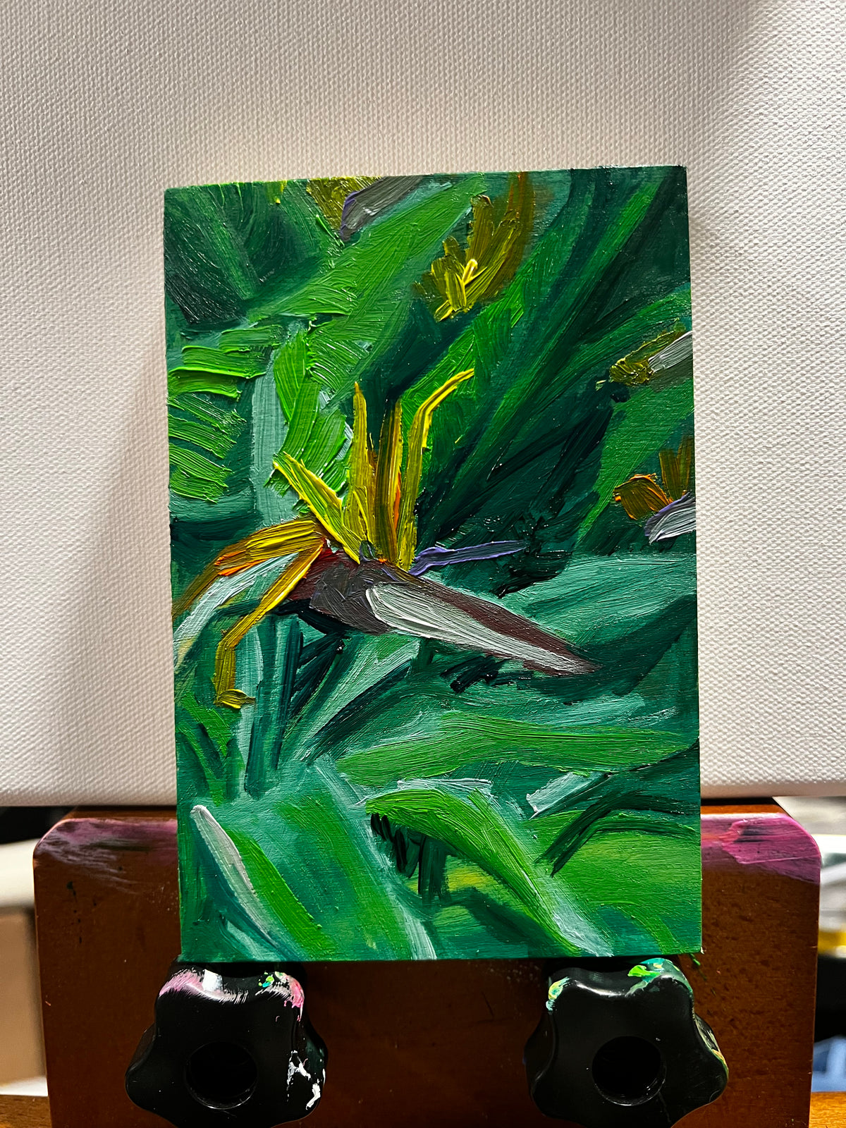 Mini Painting : Birds of Paradise