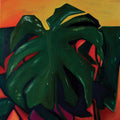 Minnie Monstera