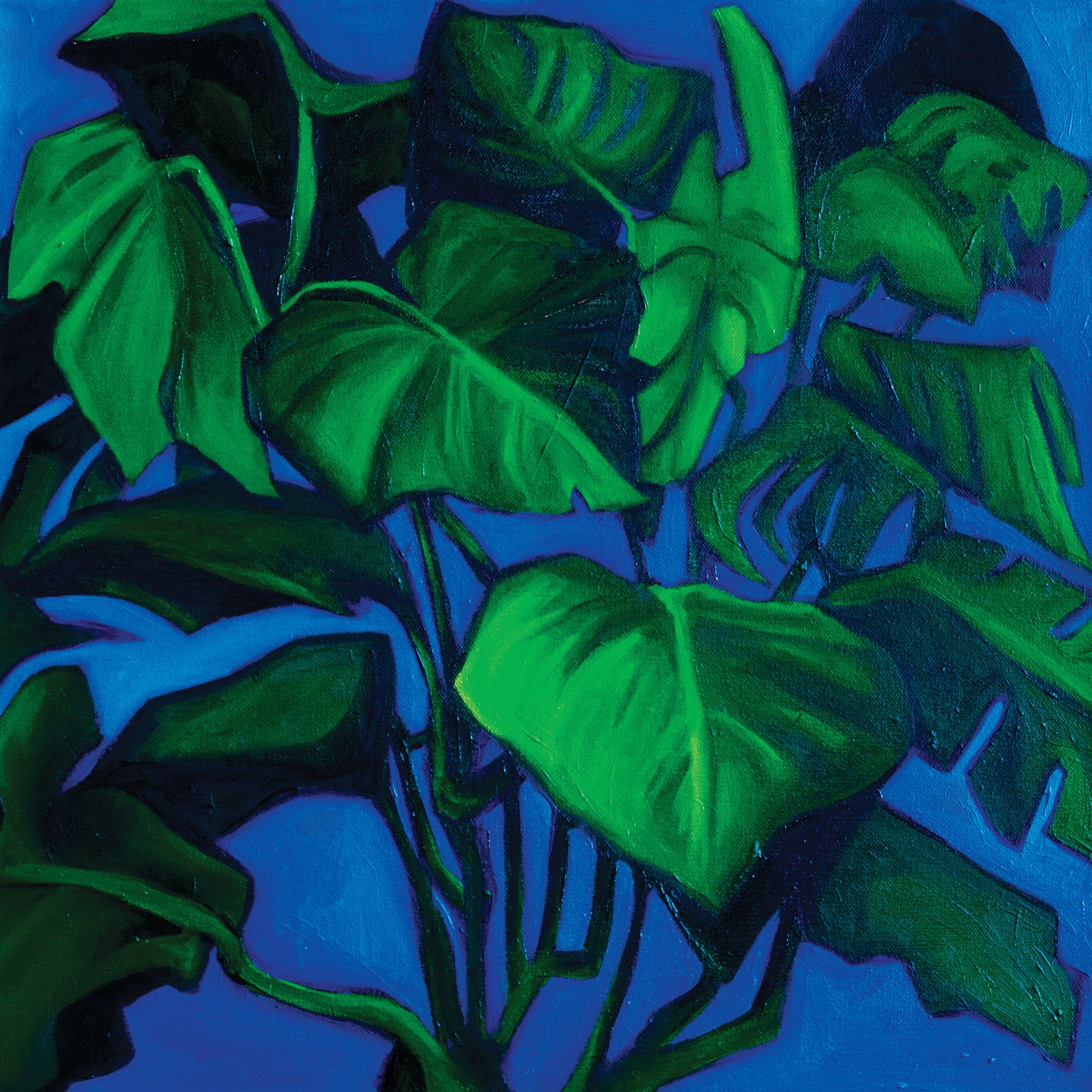 Mimi my Monstera- Oil Painting - 2025
