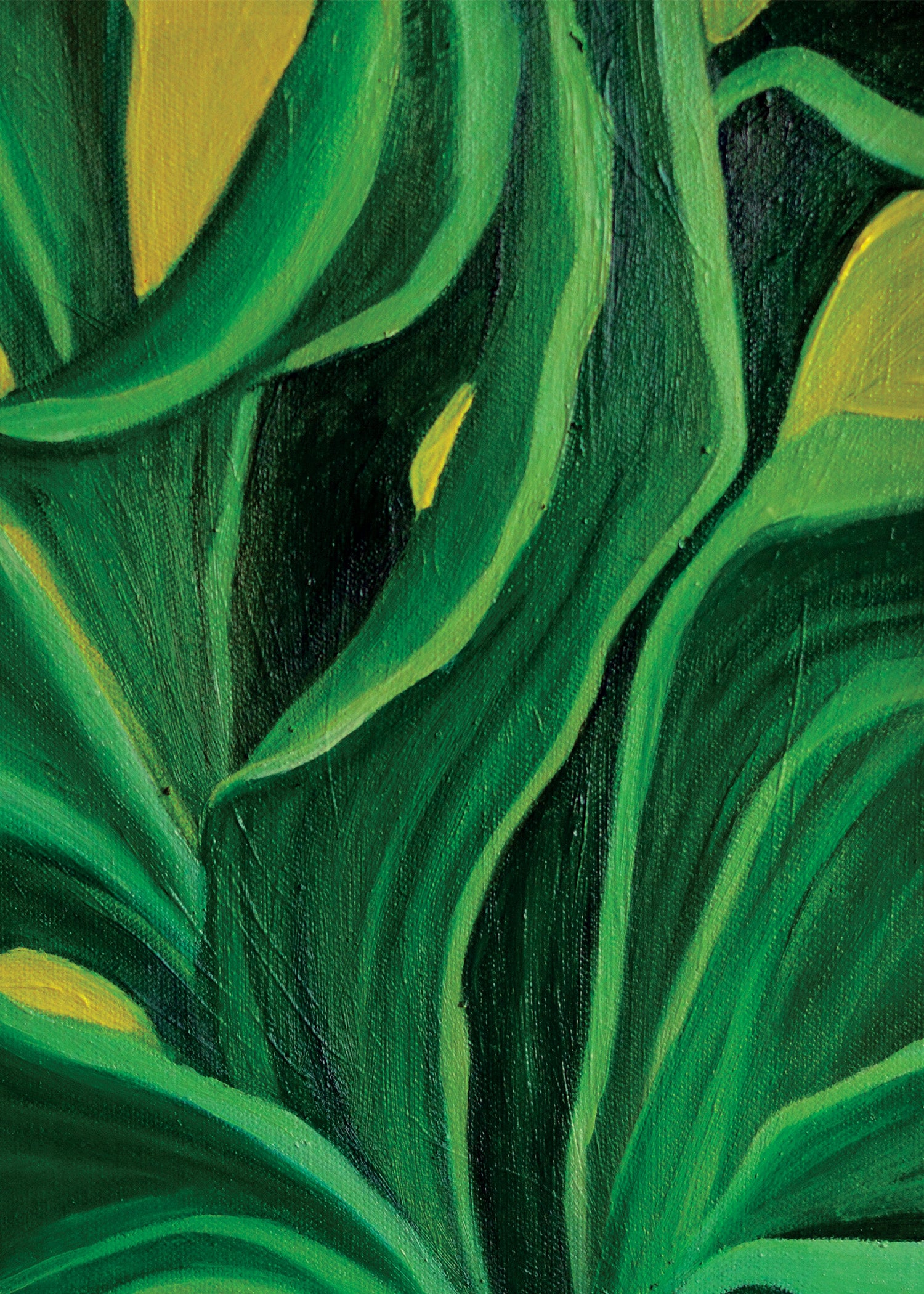 Snake Plant