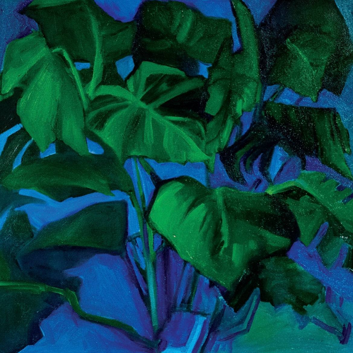 Mimi my Monstera- Oil Painting - 2025