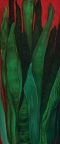 Snake Plant